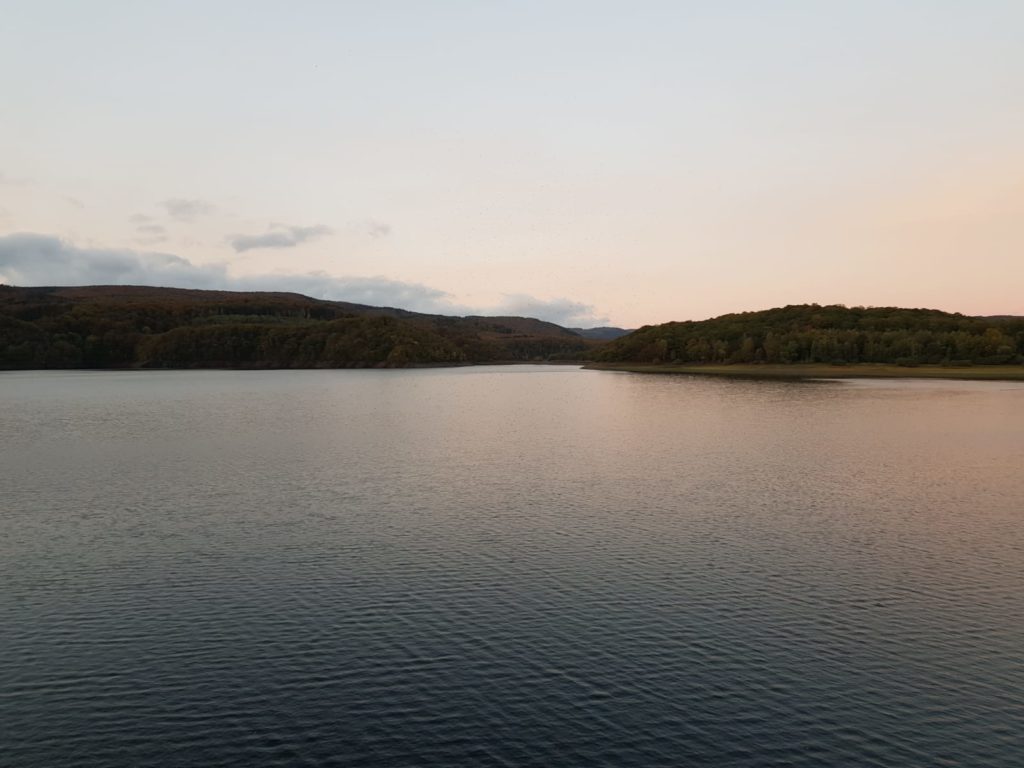 Gute Führungskräfte braucht das Land: Unser psychologisches Coaching für Führungskräfte